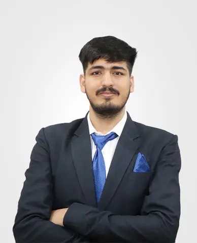 Interactive Media Designer